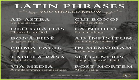 A Profile Of A Latin Beauty